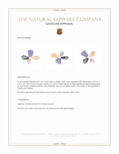 7.53 Ct. Multi Color Sapphire Crystal from Ceylon (Sri Lanka) Appraisal