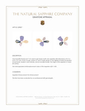 7.53 Ct. Multi Color Rough Sapphire Crystal from Ceylon (Sri Lanka) Appraisal