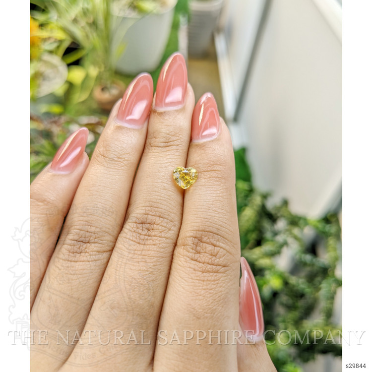 1.48 Ct. Yellow Sapphire from Ceylon (Sri Lanka)