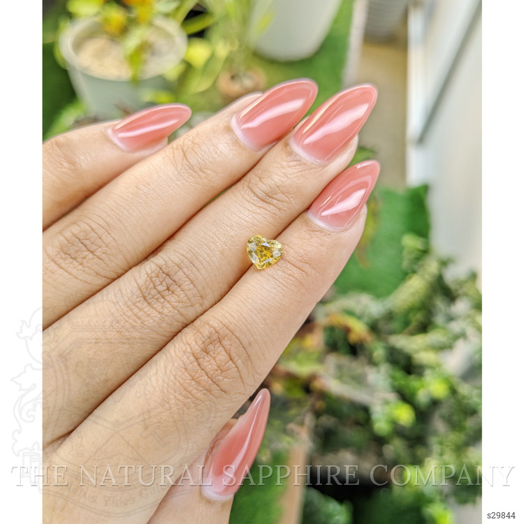 1.48 Ct. Yellow Sapphire from Ceylon (Sri Lanka)