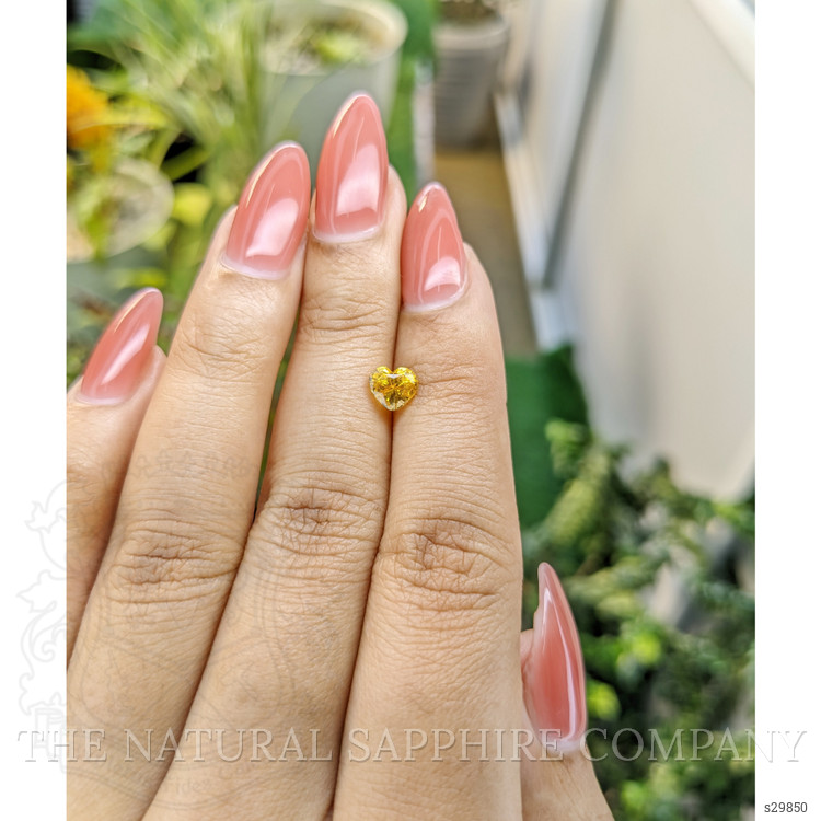 1.00 Ct. Yellow Sapphire from Ceylon (Sri Lanka)