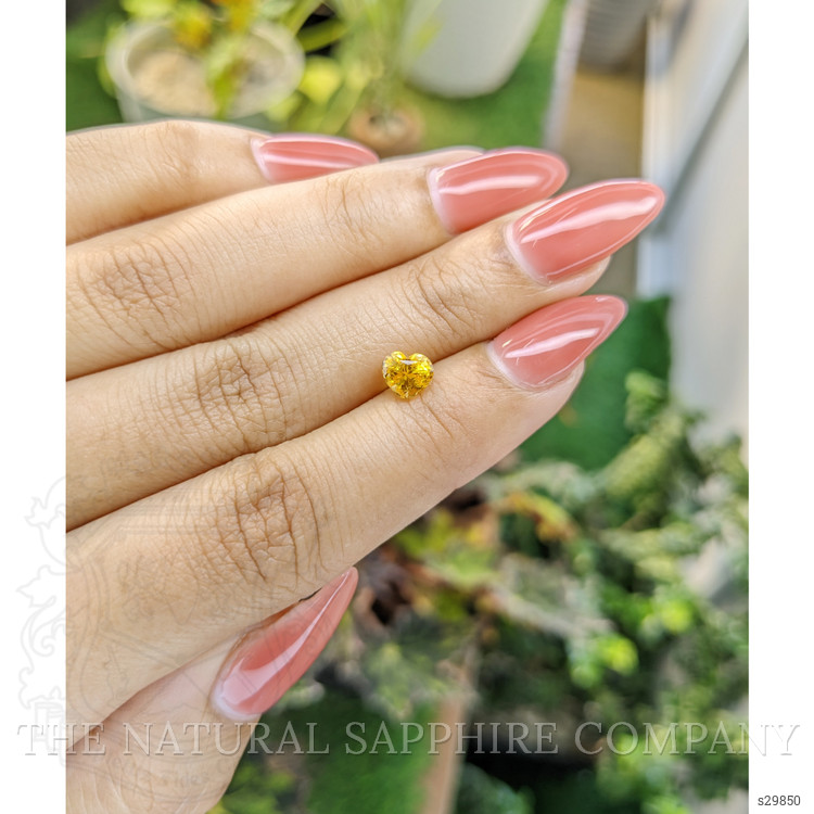 1.00 Ct. Yellow Sapphire from Ceylon (Sri Lanka)