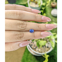 1.24 Ct. Blue Sapphire from Ceylon (Sri Lanka) Life Style