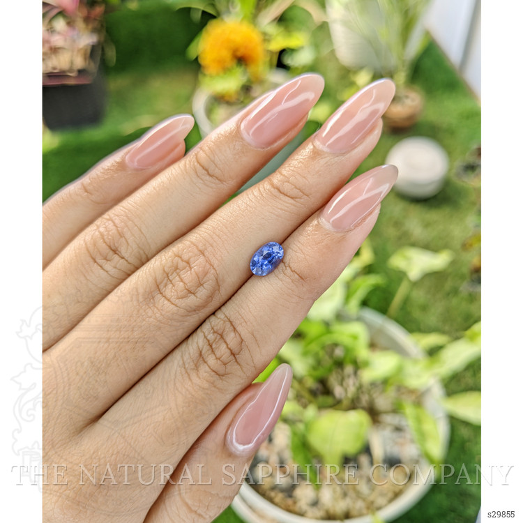 1.31 Ct. Blue Sapphire from Ceylon (Sri Lanka)
