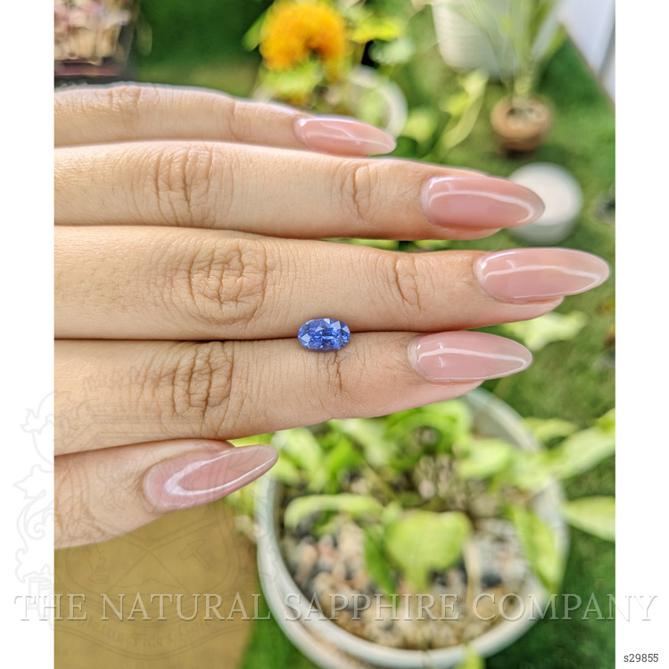 1.31 Ct. Blue Sapphire from Ceylon (Sri Lanka)