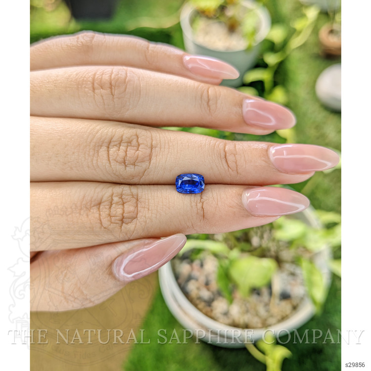 1.31 Ct. Blue Sapphire from Ceylon (Sri Lanka)