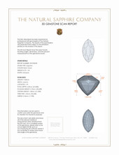 Jewelry 3 D Scan Report