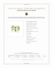 Jewelry Scan Report