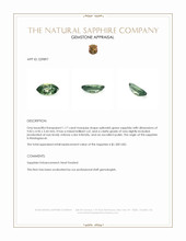1.17 Ct. Yellowish Green Sapphire from Madagascar Appraisal