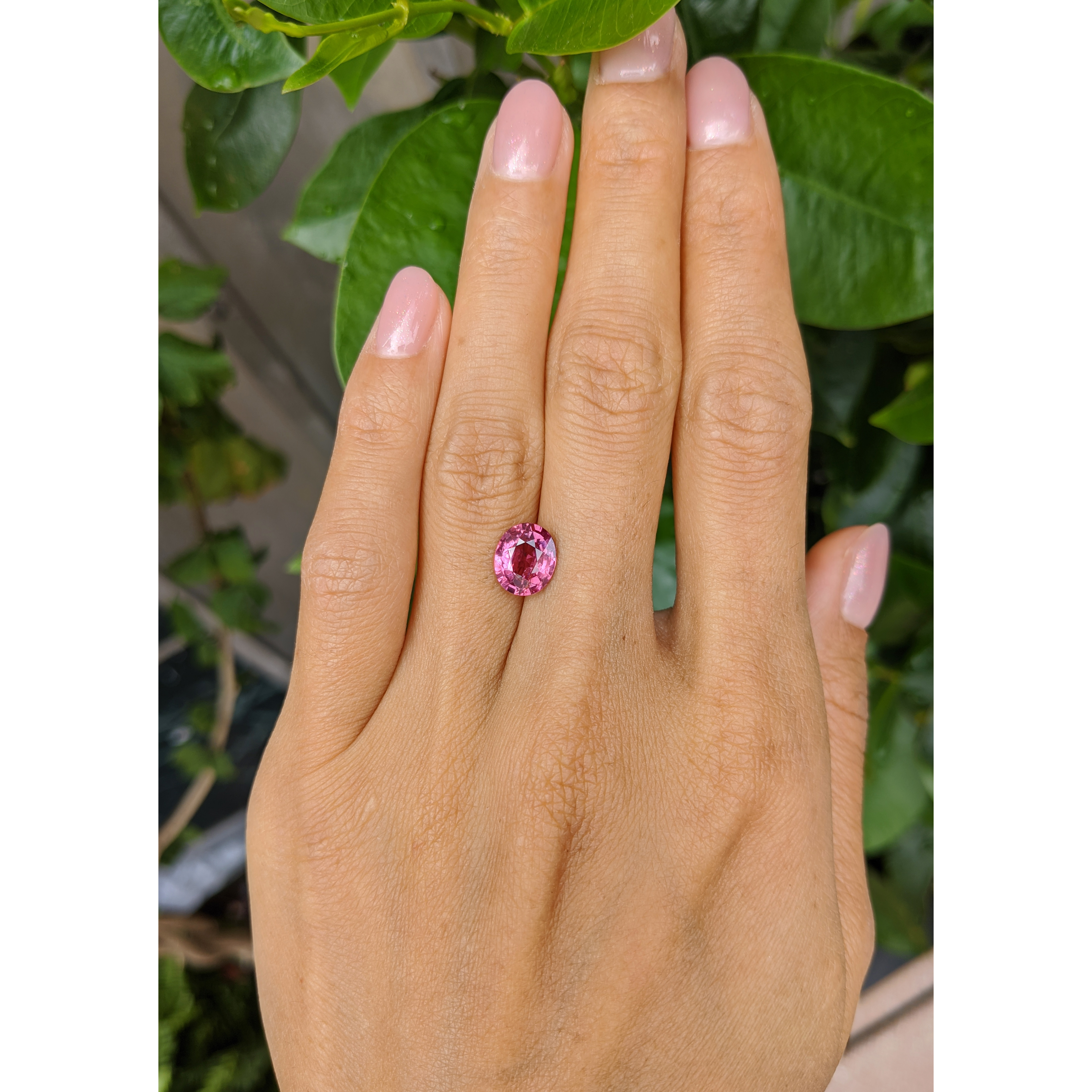 ADVANCEMENT FPR55-Ⅱ(circle限定　ピンク) Loose Purplish Pink Sapphire - Oval 2.49 Ct. - #S29945 | The