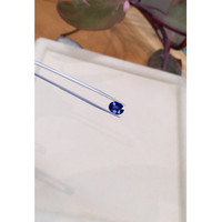 3.51 Ct. Blue Sapphire from Ceylon (Sri Lanka) Life Style