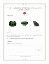 2.57 Ct. Bluish Green Sapphire from Ceylon (Sri Lanka) Appraisal