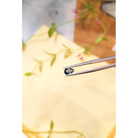 0.78 Ct. Blue Sapphire from Madagascar Life Style