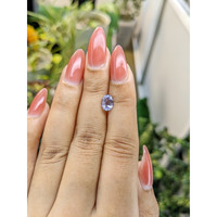 1.41 Ct. Violet Sapphire from Ceylon (Sri Lanka) Life Style