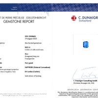 8.81 Ct. Blue Sapphire from Ceylon (Sri Lanka) Scan Report