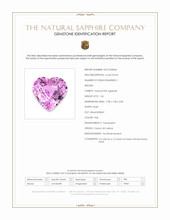 Jewelry Scan Report
