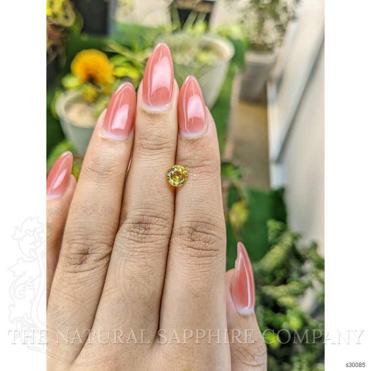 1.22 Ct. Yellow Sapphire from Ceylon (Sri Lanka)