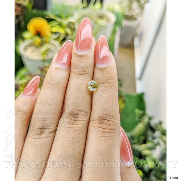 1.08 Ct. Greenish Yellow Sapphire from Ceylon (Sri Lanka)