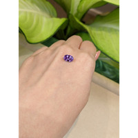 1.97 Ct. Purple Sapphire from Ceylon (Sri Lanka) Life Style
