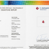 Jewelry Scan Report
