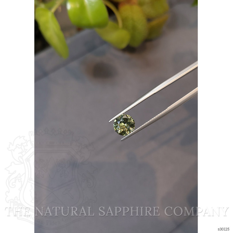 2.07 Ct. Yellowish Green Sapphire from Ceylon (Sri Lanka)