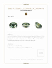2.58 Ct. Yellowish Green Sapphire from Ceylon (Sri Lanka) Appraisal