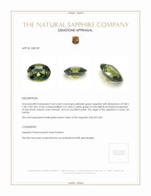 2.64 Ct. Yellowish Green Sapphire from Ceylon (Sri Lanka) Appraisal