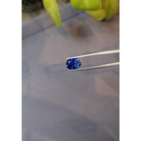 2.69 Ct. Blue Sapphire from Ceylon (Sri Lanka) Life Style