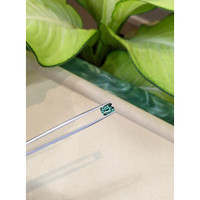 2.57 Ct. Bluish Green Sapphire from Ceylon (Sri Lanka) Life Style