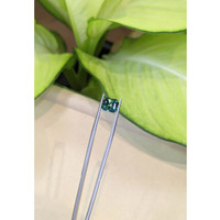 3.57 Ct. Bi Color Sapphire from Ceylon (Sri Lanka) Life Style