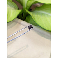 3.15 Ct. Color Change Sapphire from Ceylon (Sri Lanka) Life Style