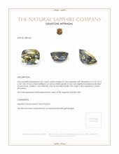 4.01 Ct. Bi Color Sapphire from Ceylon (Sri Lanka) Appraisal