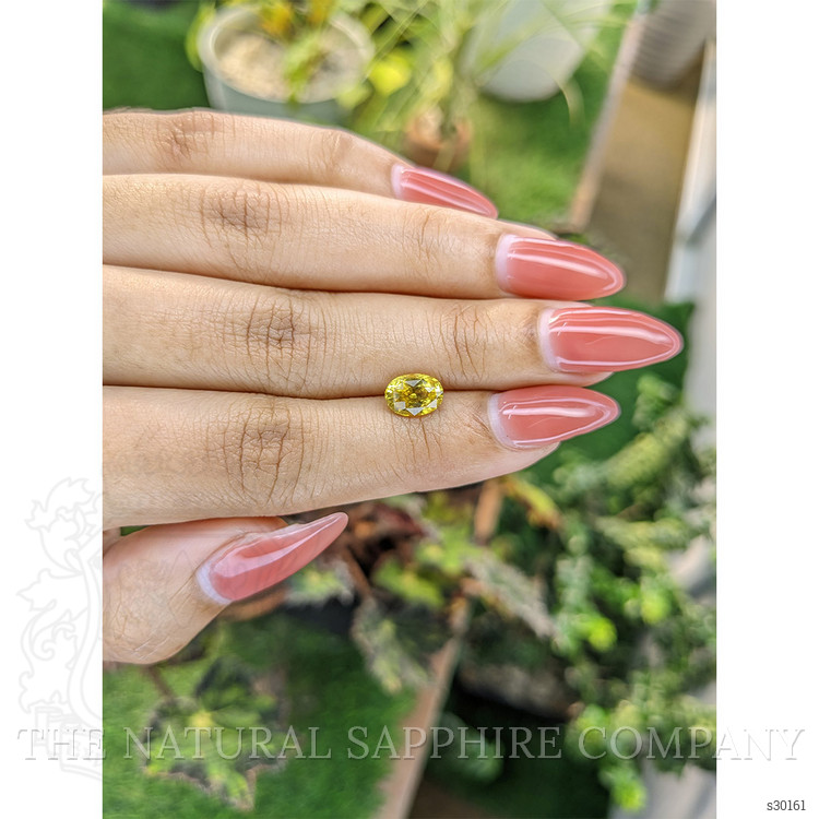 1.65 Ct. Yellow Sapphire from Ceylon (Sri Lanka)