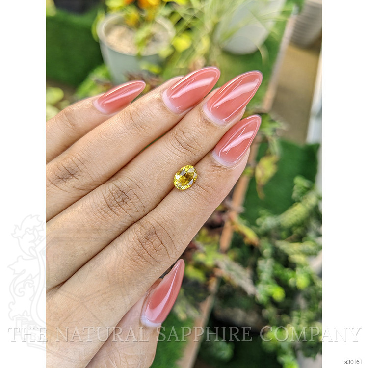 1.65 Ct. Yellow Sapphire from Ceylon (Sri Lanka)
