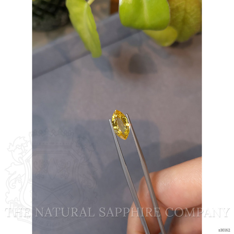 3.01 Ct. Yellow Sapphire from Ceylon (Sri Lanka)