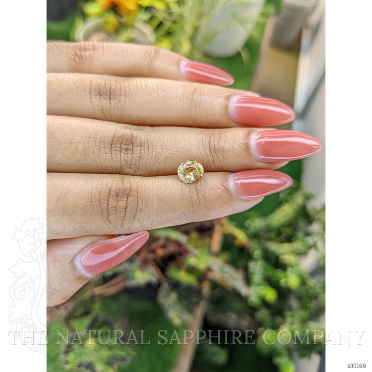 1.49 Ct. Yellowish Brown Sapphire from Ceylon (Sri Lanka)