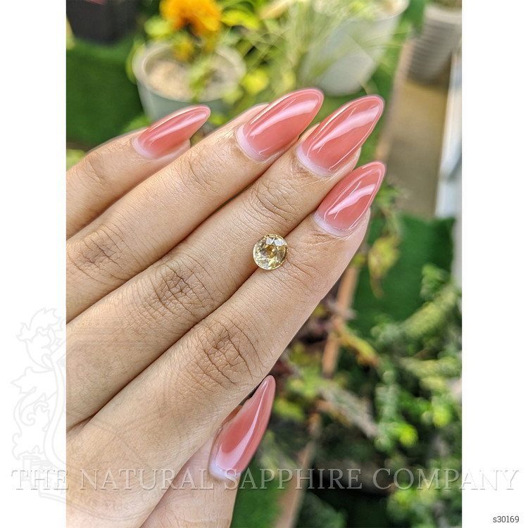 1.49 Ct. Yellowish Brown Sapphire from Ceylon (Sri Lanka)
