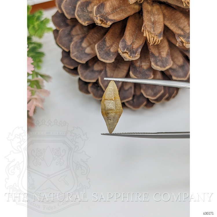 7.04 Ct. Yellow Sapphire Crystal from Ceylon (Sri Lanka)