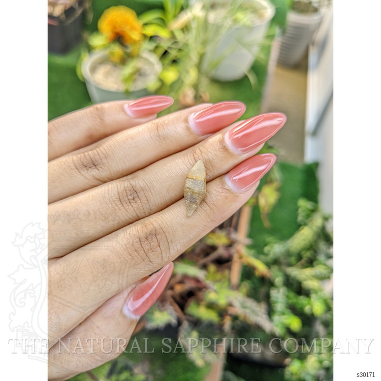 7.04 Ct. Yellow Sapphire Crystal from Ceylon (Sri Lanka)