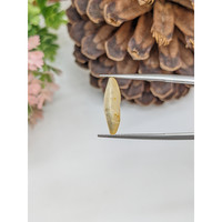 3.75 Ct. Yellow Sapphire Crystal from Ceylon (Sri Lanka) Life Style