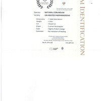 Jewelry Scan Report