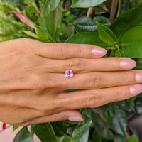 2.07 Ct. Pink Sapphire from Ceylon (Sri Lanka) Life Style