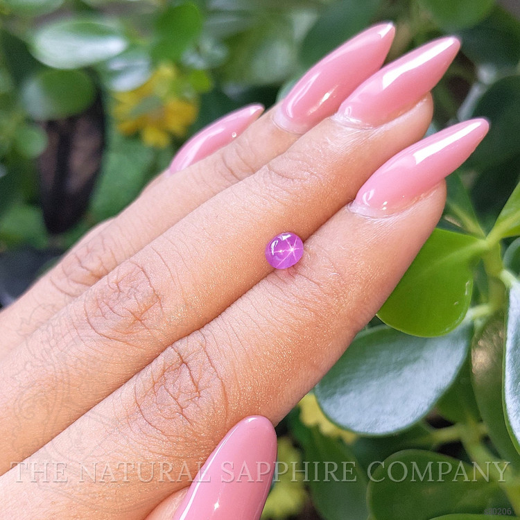 1.12 Ct. Purple Star Sapphire from Ceylon (Sri Lanka)