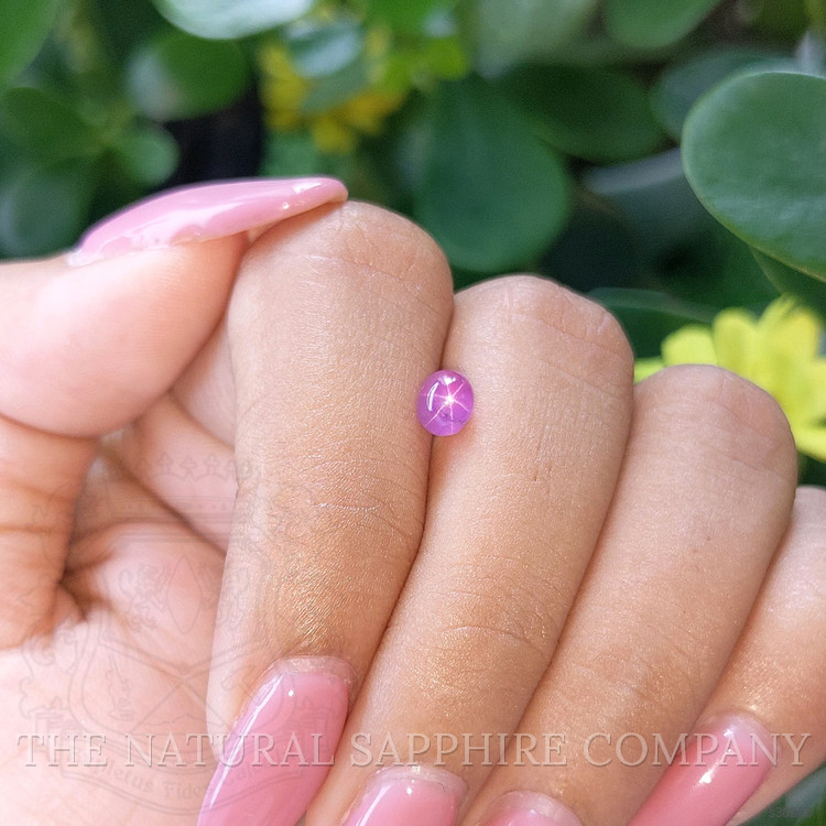1.12 Ct. Purple Star Sapphire from Ceylon (Sri Lanka)