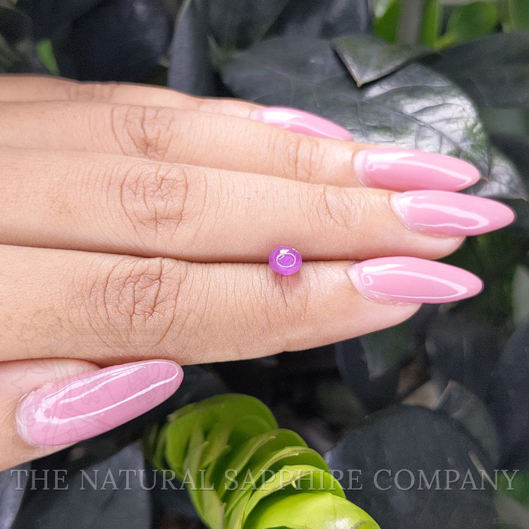 1.12 Ct. Purple Star Sapphire from Ceylon (Sri Lanka)