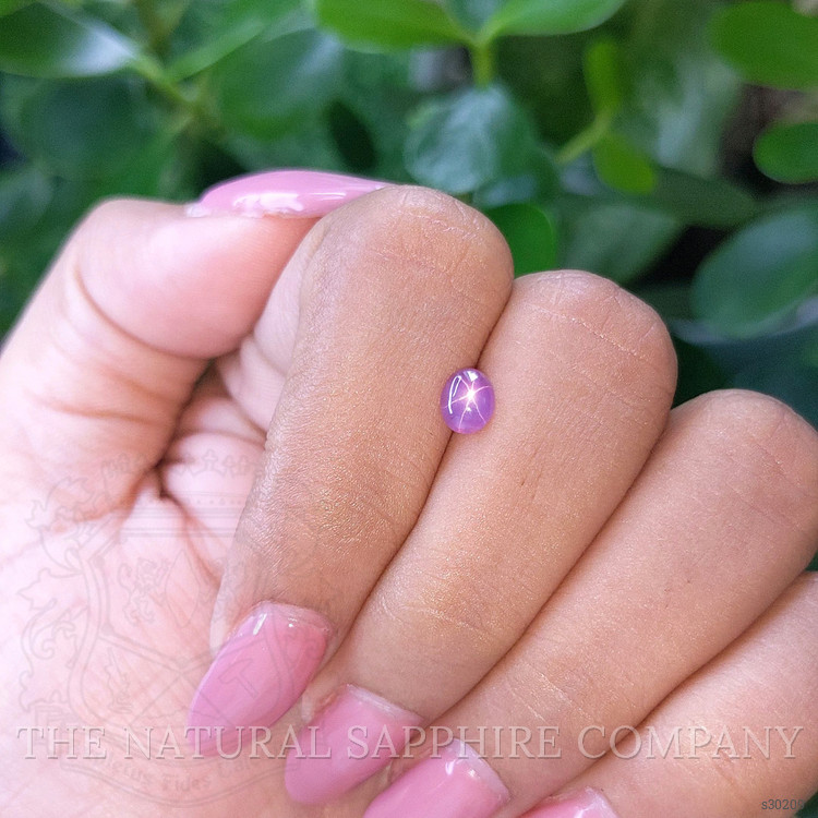 0.83 Ct. Purple Star Sapphire from Ceylon (Sri Lanka)