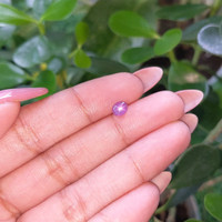 0.83 Ct. Purple Star Sapphire from Ceylon (Sri Lanka) Life Style
