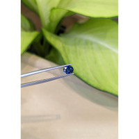 1.03 Ct. Blue Sapphire from Thailand Life Style