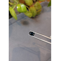 1.47 Ct. Blue Sapphire from Australia Life Style