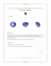 7.26 Ct. Blue Star Sapphire from Burma (Myanmar) Appraisal